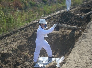 A Rotondella, zona Trisaia, vietata coltivazione di ortaggi per contaminazione acque