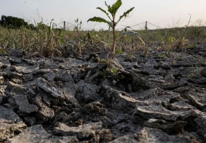 In Basilicata scomparsi quasi 2500 ettari netti di terreno