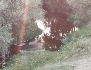 Ancora Di Trani su questione inquinamento Basento