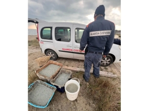 Sequestrati a San Basilio di Pisticci, 100 kg di “bianchetto”