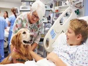 L’ordine dei medici veterinari di Matera vince il premio “il peso delle cose”