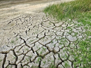 Gemma (Ipf): siccità, l’acqua lucana è un bene prezioso da preservare