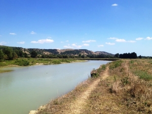 Di Trani solleva dubbi sull’utilizzo delle acque del fiume Basento