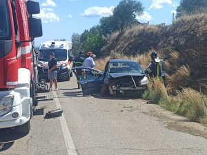 Incidente sulla SP Pisticci-San Basilio: Albano: urgente intervenire contro il rischio cinghiali