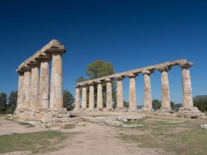 Dal 9 giugno al via il treno della Magna Grecia