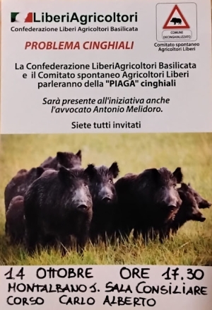 Problema cinghiali: a Montalbano importante incontro