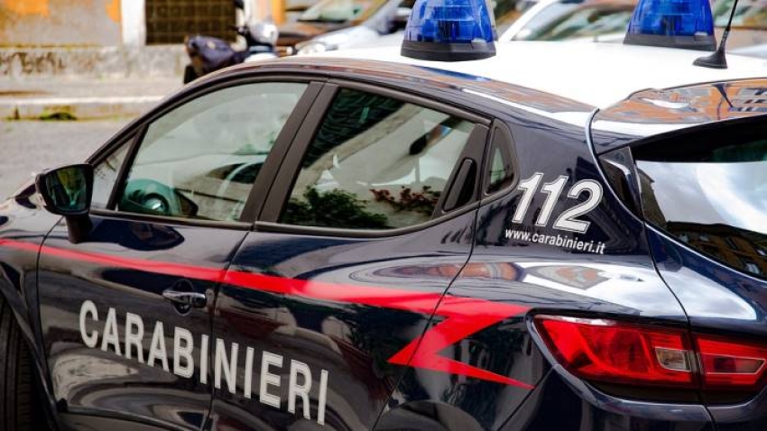 Carabinieri ritrovano mezzi agricoli rubati e sequestrano piantagione di marijuana