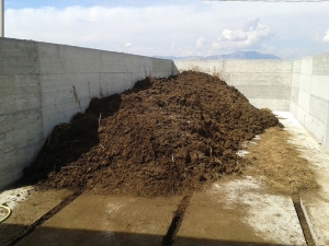 Protezione acque da nitrati agricoli: presentazione programma d’azione e linee guida