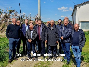 Condifesa Basilicata avvia campagna assicurativa grandine e altri eventi 2025