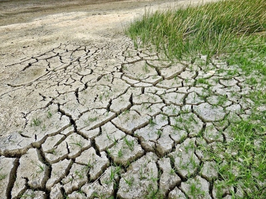 Marrese: “Crisi idrica: l’assessore Cicala rispetti le legittime preoccupazioni degli agricoltori”